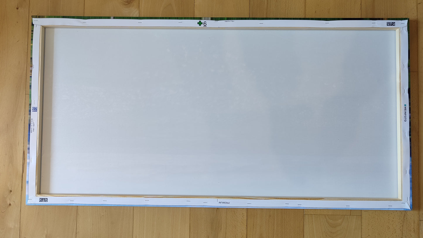„Wilnsdorfer Dorfansicht“ auf Leinwand (120 x 60 cm)